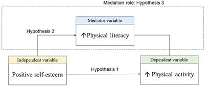 Relationship among positive self-esteem, physical literacy, and physical activity in college students: a study of a mediation model